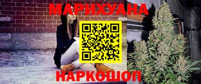 индика Нальчик