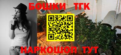 индика Нальчик