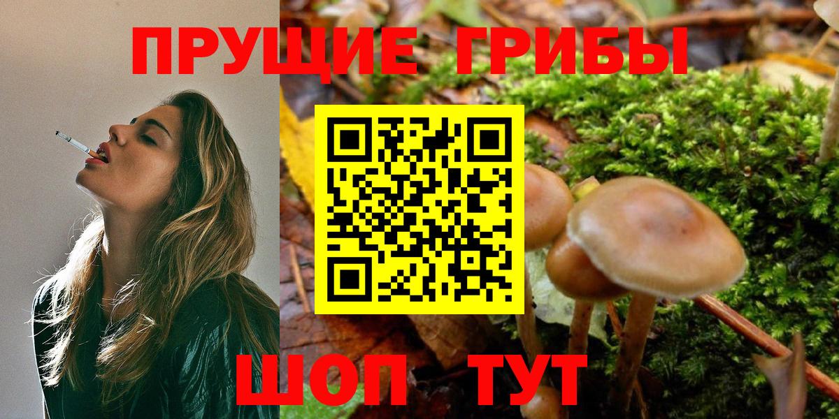 Галлюциногенные грибы ЛСД Тихвин
