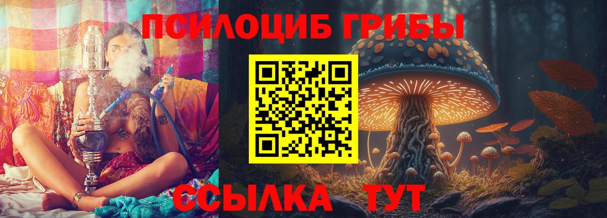Псилоцибиновые грибы Psilocybe  Вход с VPN  Галлюциногенные грибы MAGIC MUSHROOMS  Тихвин 